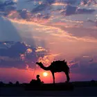 22 Atmospheric Silhouette Photographs 22 Atmospheric Silhouette Photographs
