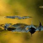 How to Use Open Water to Create a Great Abstract How to Use Open Water to Create a Great Abstract