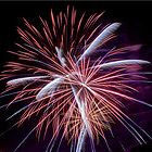 How to Photograph Fireworks How to Photograph Fireworks