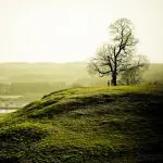 33 Uplifting Photos of Green Fields 33 Uplifting Photos of Green Fields