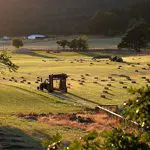 Outdoor Photography: 27 Hay Bales Just for Fun Outdoor Photography: 27 Hay Bales Just for Fun