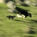 3 Situations Where Blurred Photos Just Work 3 Situations Where Blurred Photos Just Work