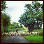 What You May Have Missed This Week on Light Stalking What You May Have Missed This Week on Light Stalking