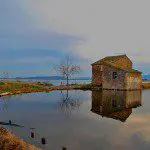 Don’t Miss These Great New Photography Links Don’t Miss These Great New Photography Links