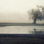 Roundup of Amazing Recent Photography Links and Photos Roundup of Amazing Recent Photography Links and Photos