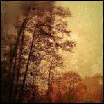 9 Interesting Perspectives on the Art of iPhone Photography 9 Interesting Perspectives on the Art of iPhone Photography