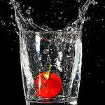 20 Stunning Examples of High Speed Photography (And Tuts on How to Do It Yourself) 20 Stunning Examples of High Speed Photography (And Tuts on How to Do It Yourself)