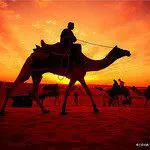 5 Tips for Capturing The Magic of Golden Hour Photography 5 Tips for Capturing The Magic of Golden Hour Photography