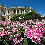 Some Useful Tips for Using Perspective in Photography Some Useful Tips for Using Perspective in Photography