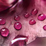 These Photography Links Make The Internet a Better Place These Photography Links Make The Internet a Better Place