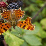 Great Photography Links and Articles to Get Your Week Started Right Great Photography Links and Articles to Get Your Week Started Right