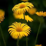 Want to Create Great Images? Stop Waiting to Get Lucky Want to Create Great Images? Stop Waiting to Get Lucky