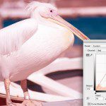 Practical Tips to Better Understand Color Control in Post Production Practical Tips to Better Understand Color Control in Post Production