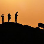 8 Reasons Why You Should Photograph Against the Light 8 Reasons Why You Should Photograph Against the Light