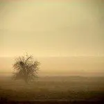 The Truth About Vignettes in Photography The Truth About Vignettes in Photography