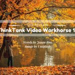 Our Review- ThinkTank Video Workhorse 19
