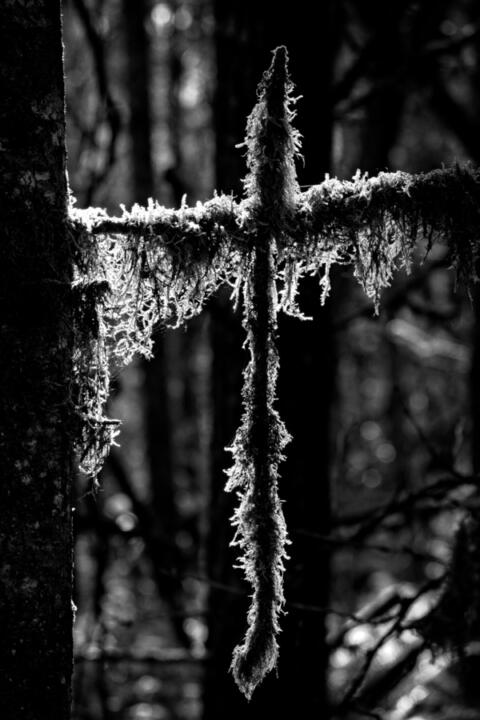 cross with lichen