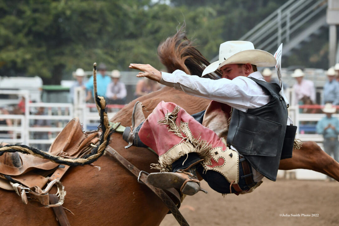 photo of the week rodeo