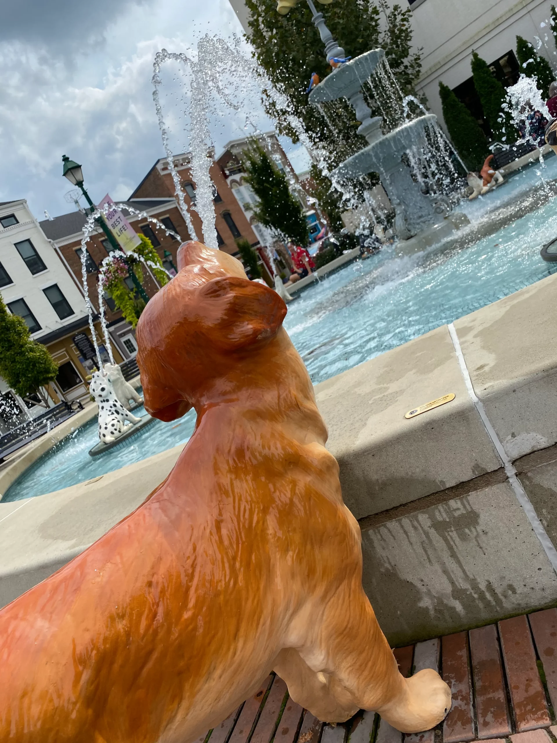 dog fountain