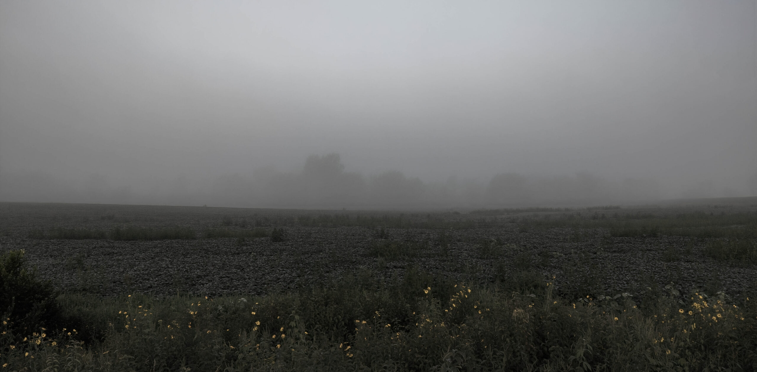 fog rural Minnesota