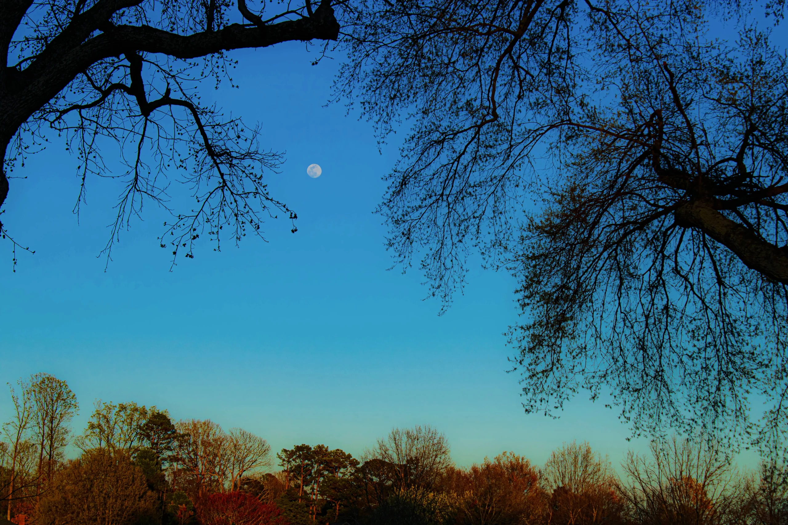 moon blue skies