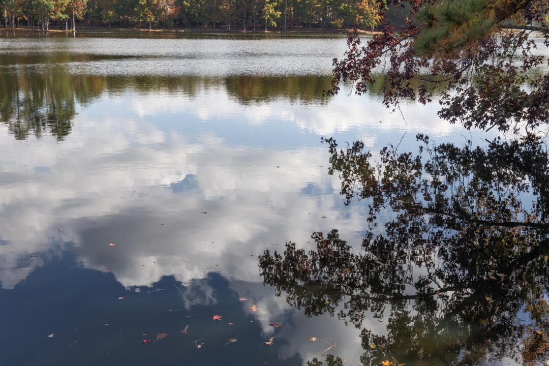 reflection in the lake