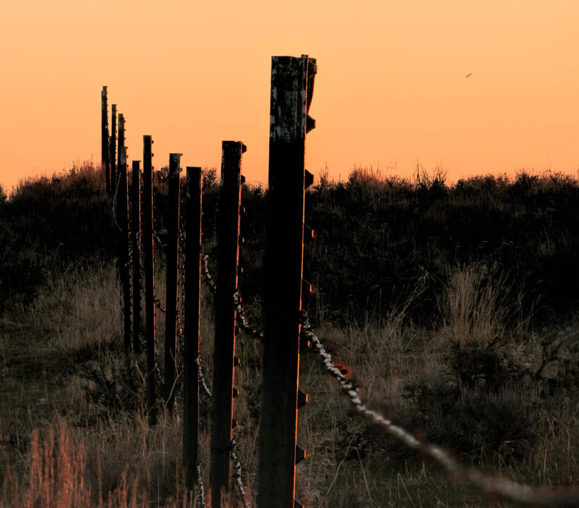fence line sunset