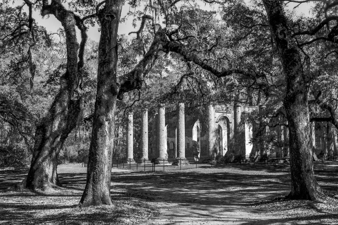 black and white building in the forest