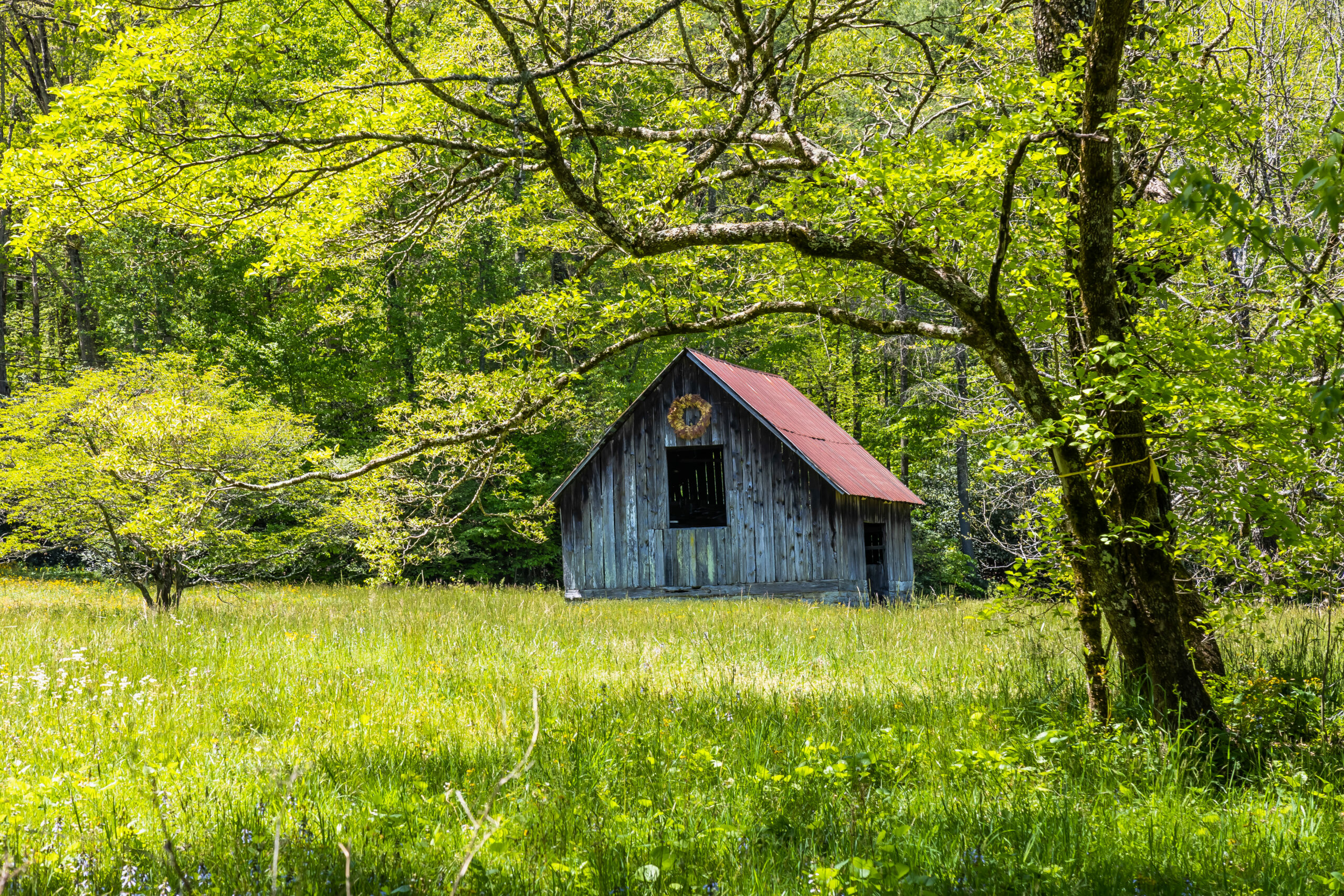 springtime