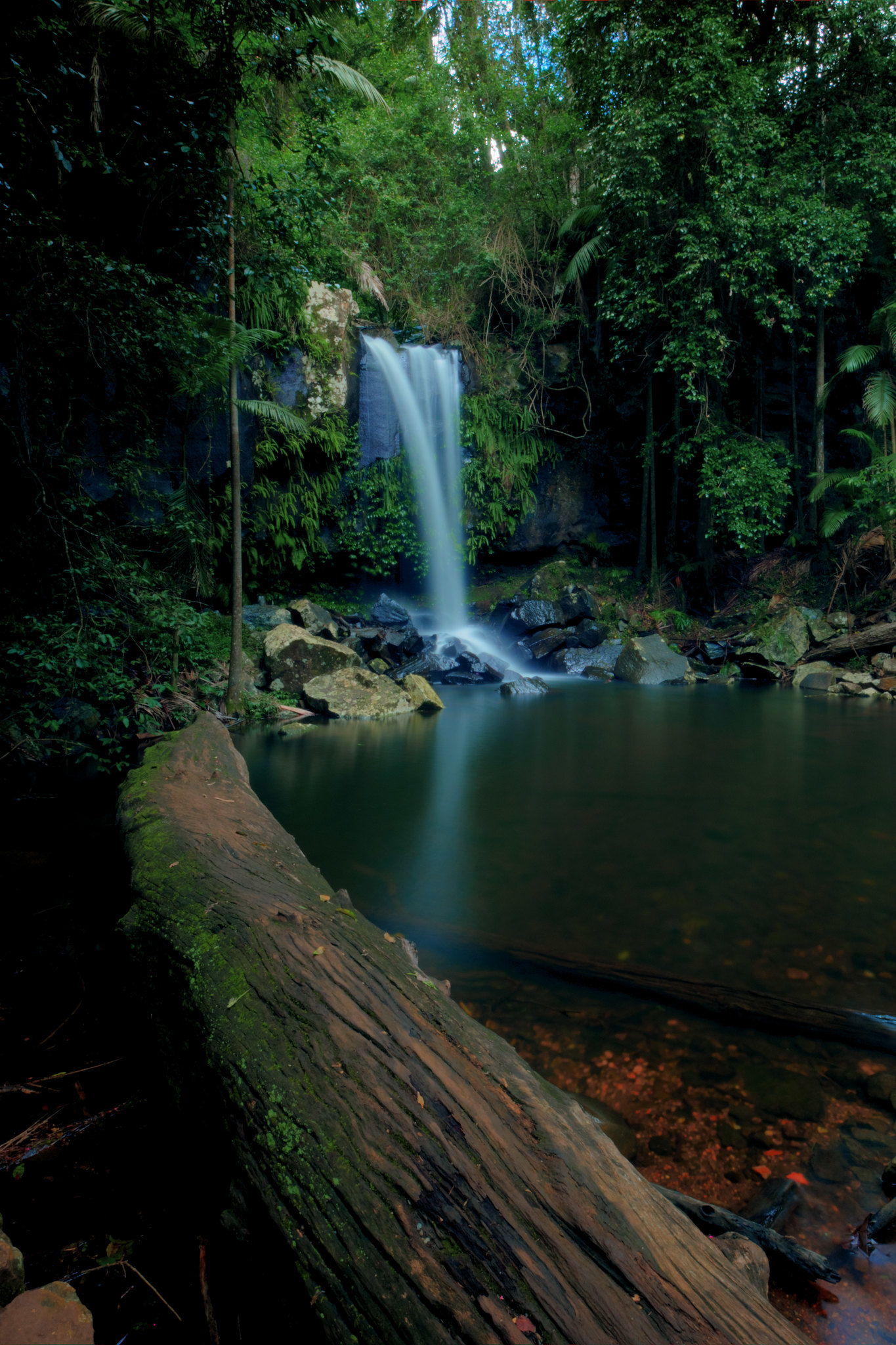 curtis falls