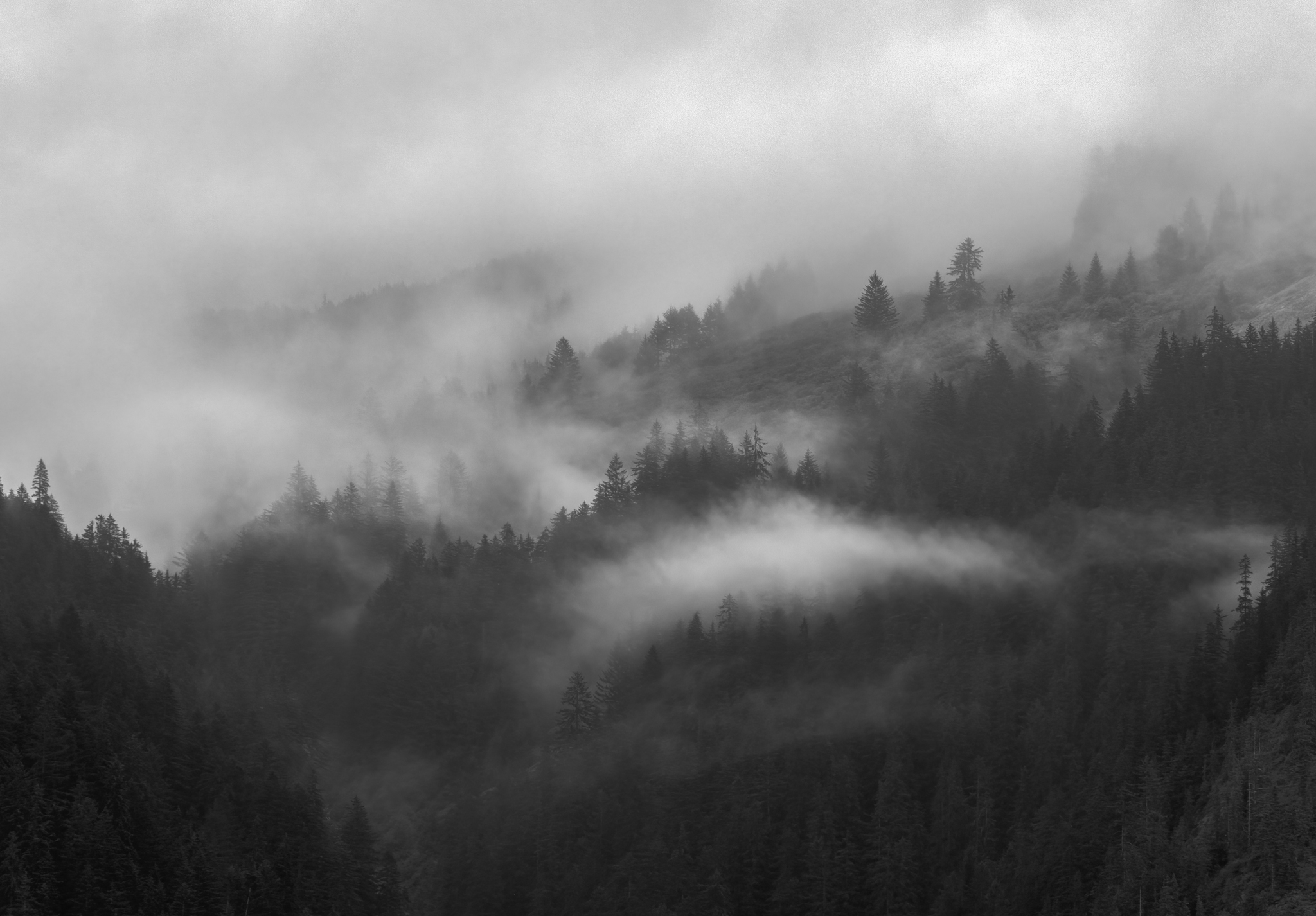 black and white hazy landscape