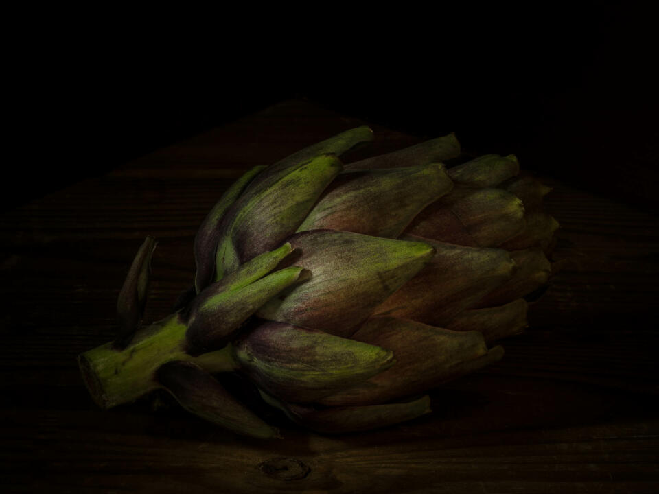 artichoke dark aesthetic