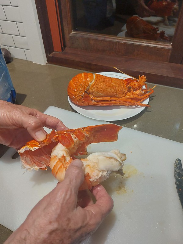 lobster dinner