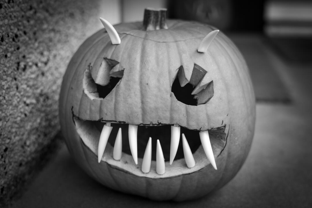 pumpkin in black and white