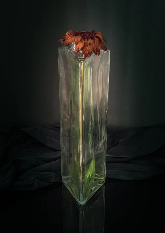 flower in a tall glass vase