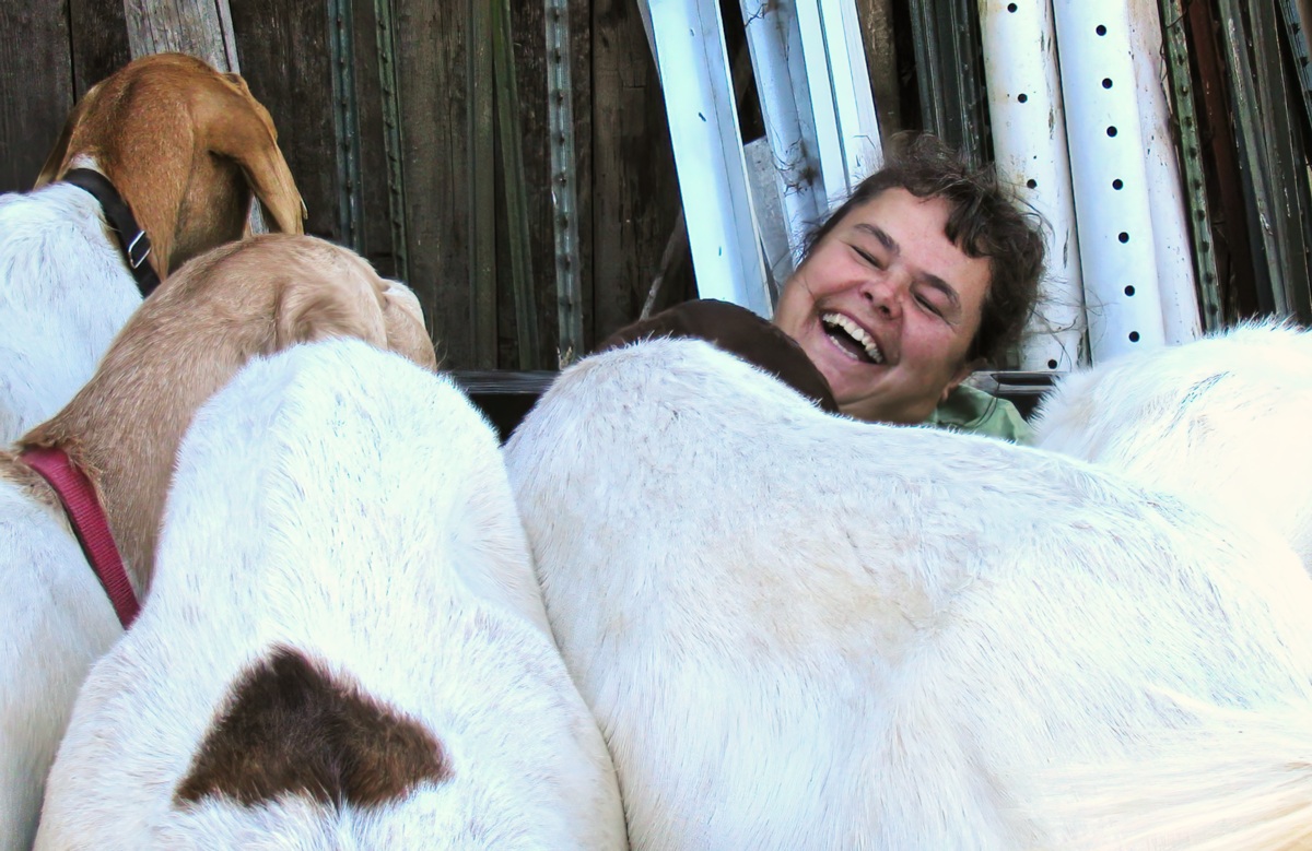 goats and laughing woman