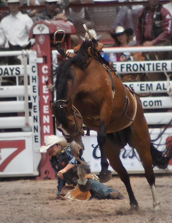 rodeo shot decisive moment