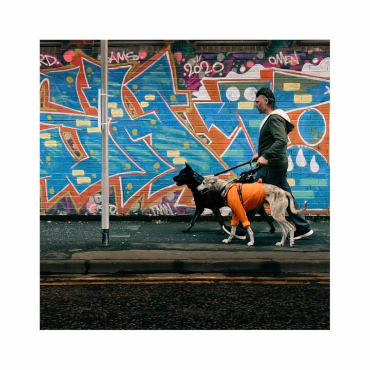 dogs and graffiti