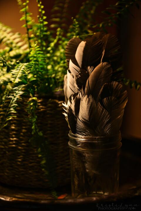 feathers in a jar