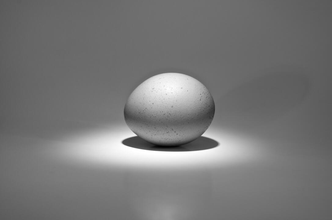 minimal shot eggs