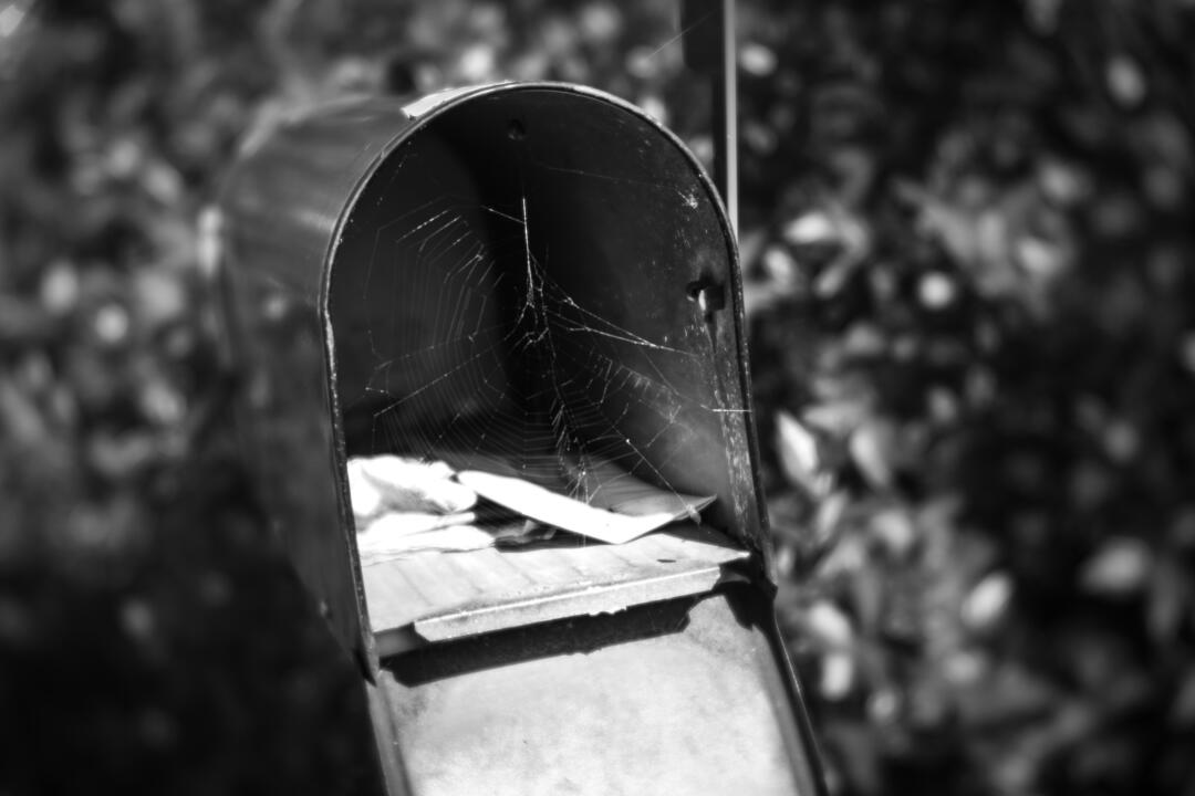 spiderweb in a mailbox