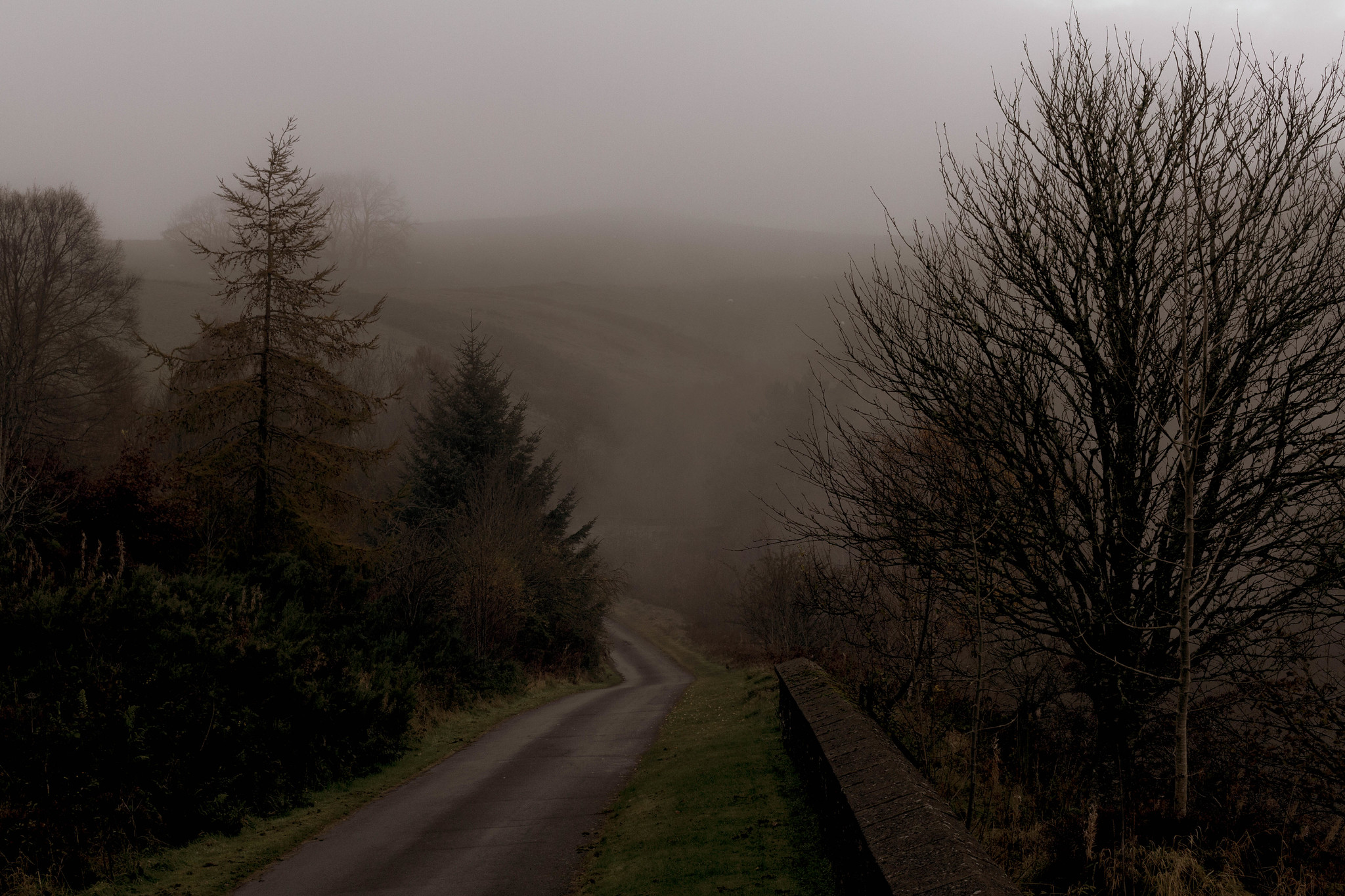 autumn misty road