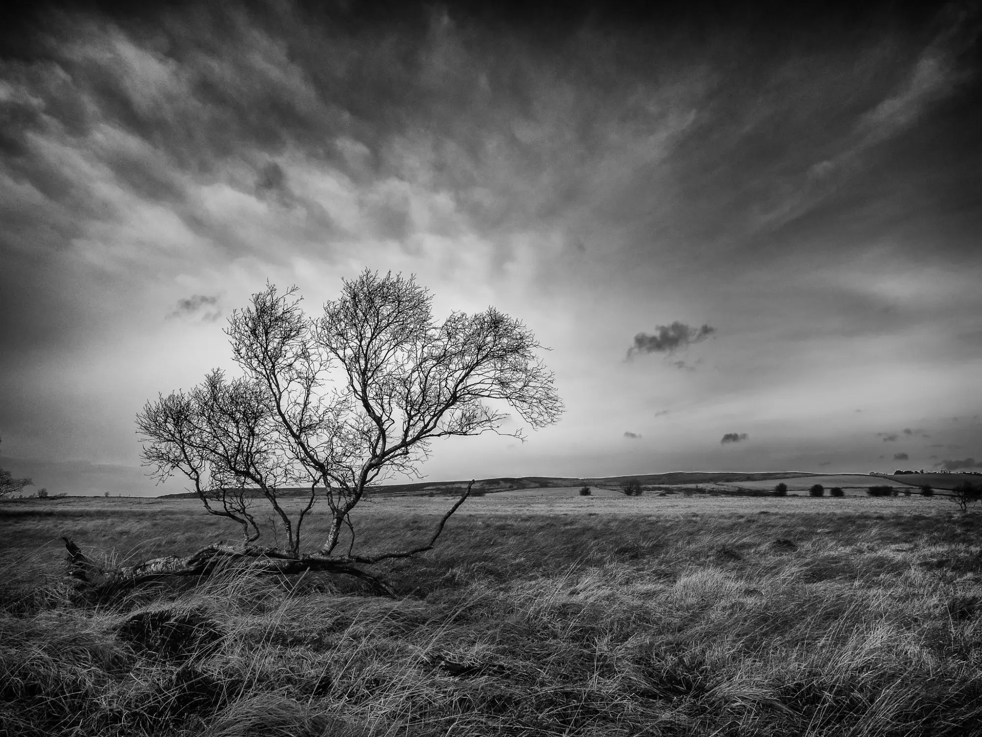 15 Amazing Black & White Landscape Photos That Will Leave You in Awe