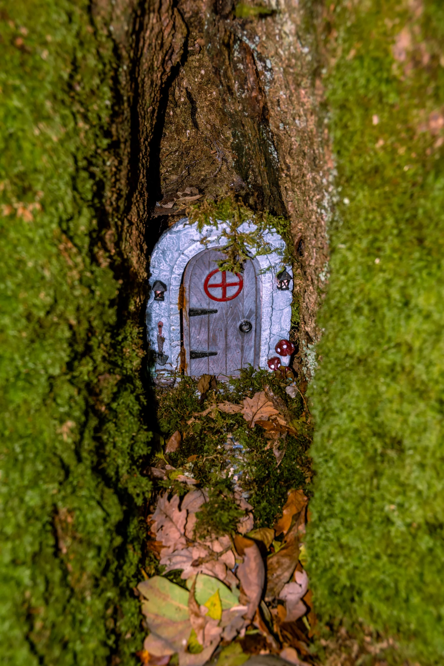 house in a tree