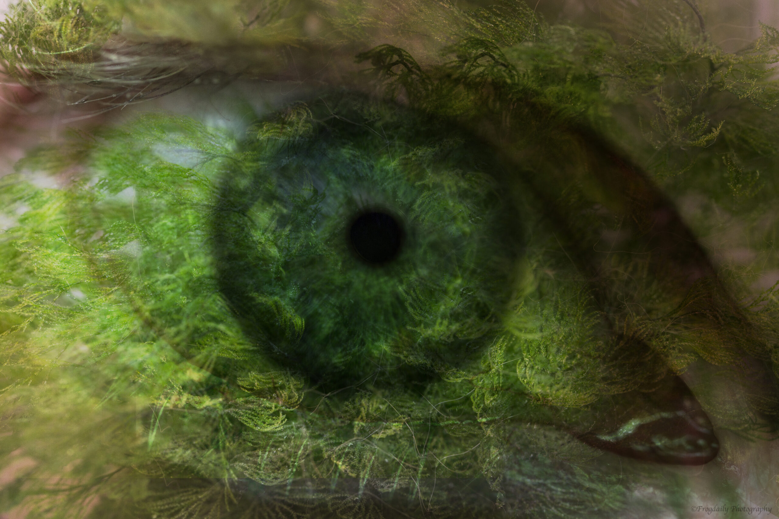 mother nature green eye