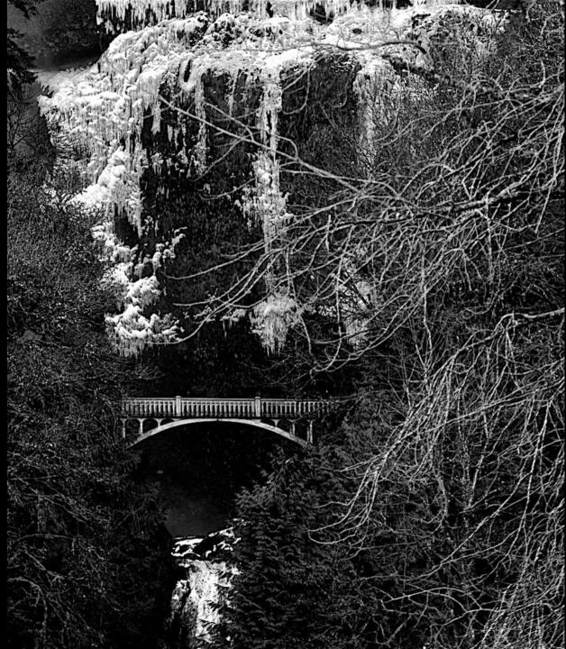 bridge in the nature low key shot
