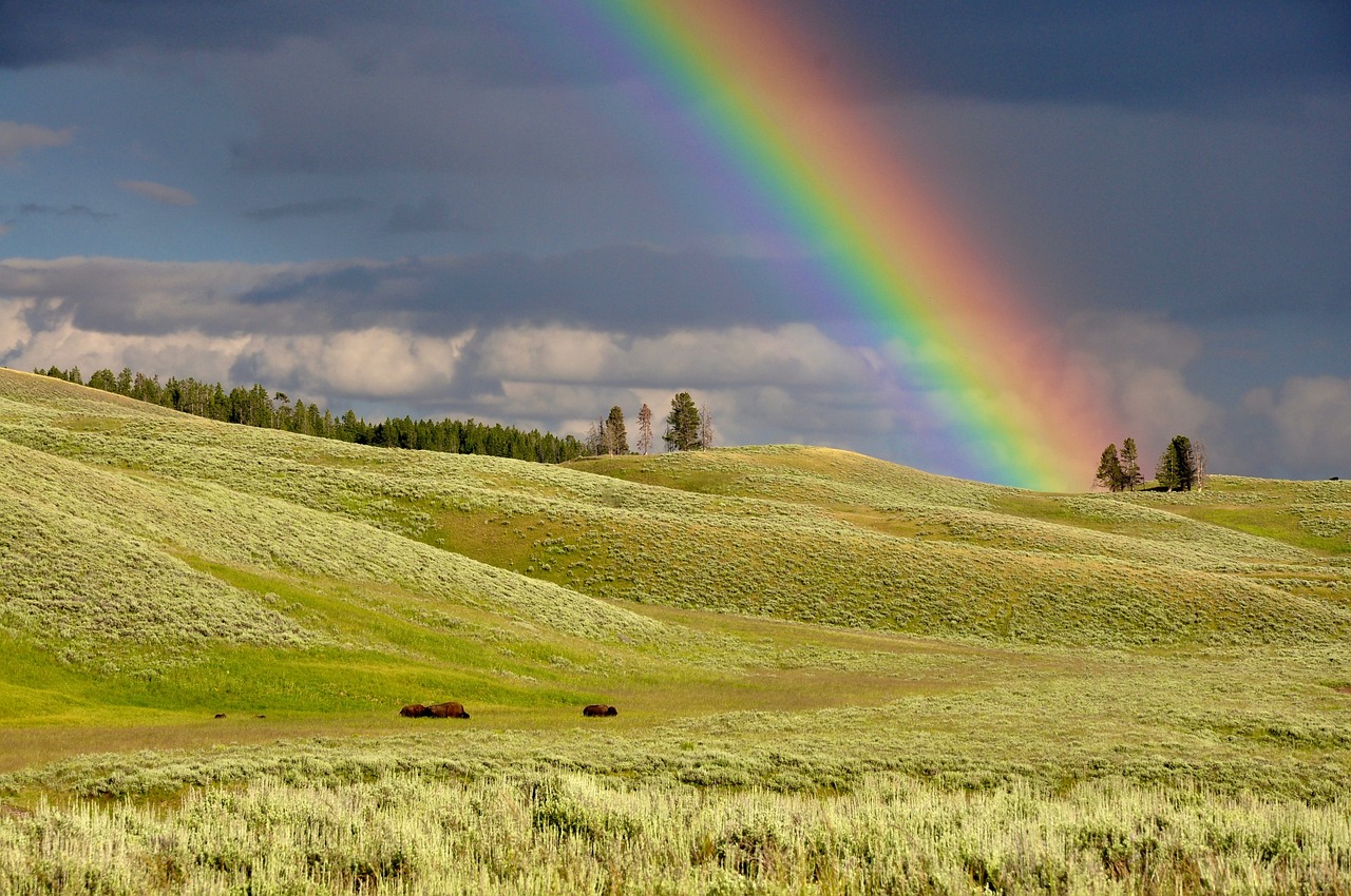 rainbow, hills, meadows