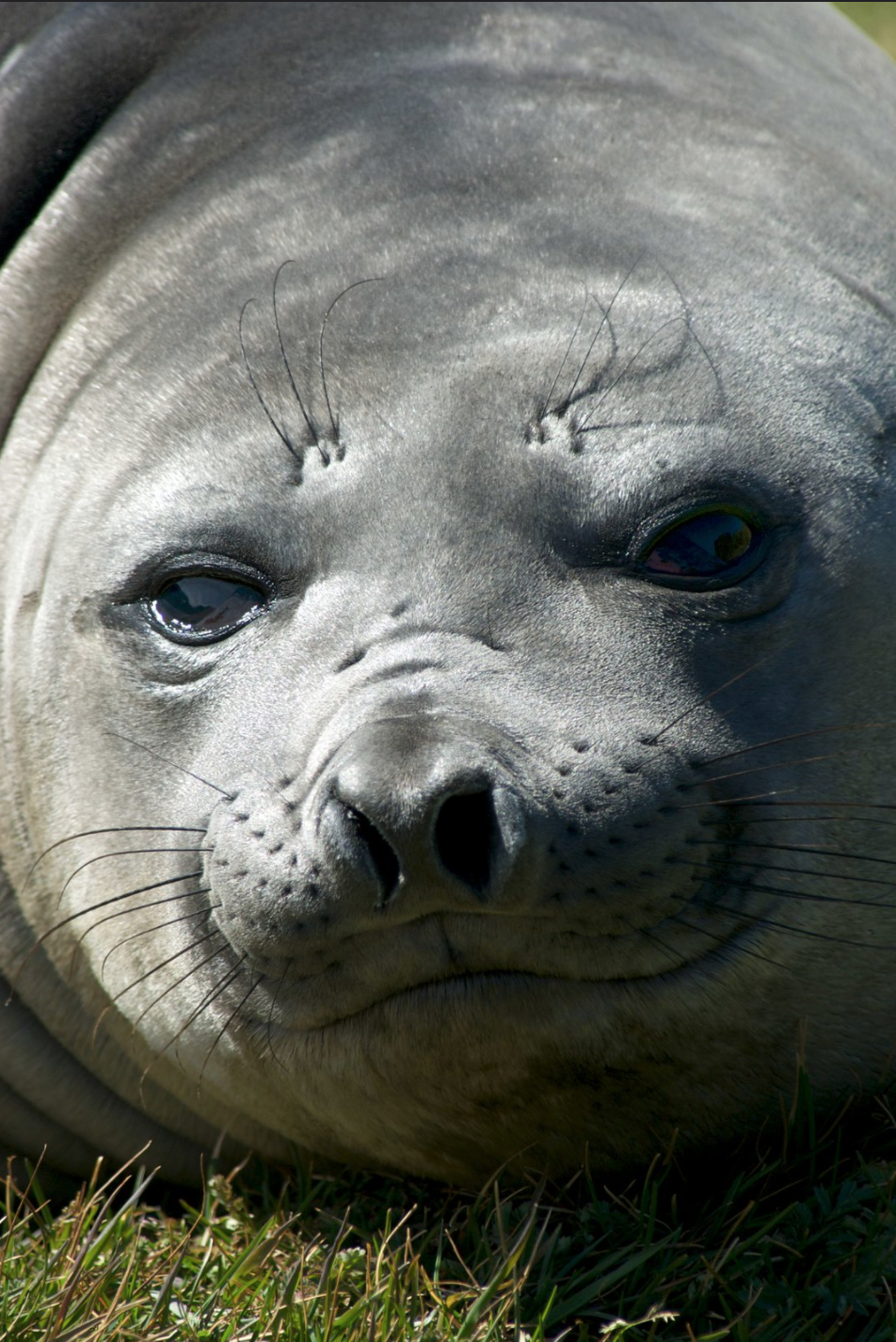 https://www.lightstalking.com/wp-content/uploads/20009-01-05-Grytviken-004.png