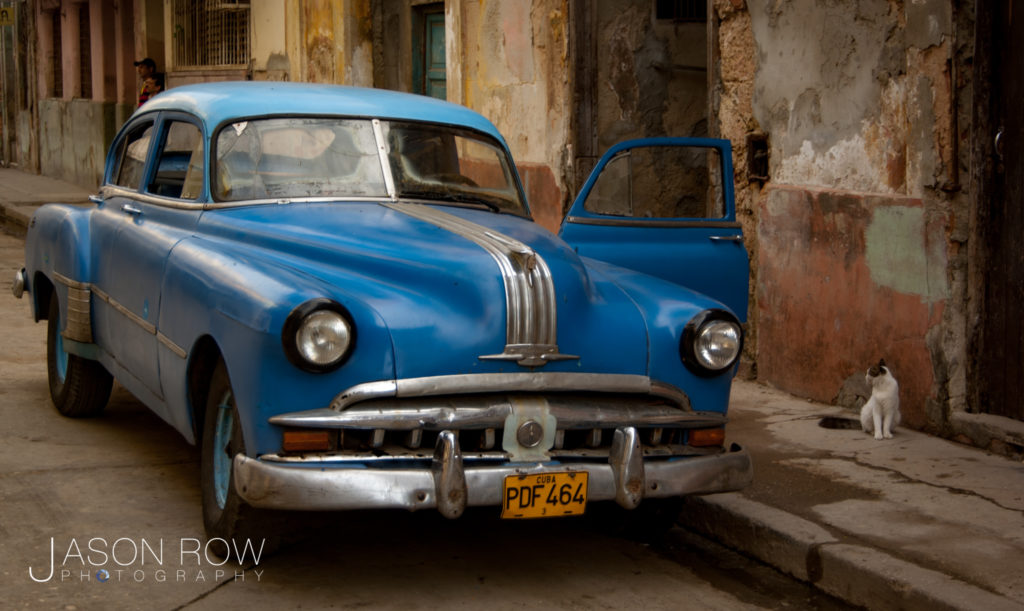 Classic American Car with Curios Cat in Havana