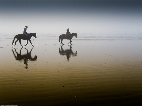 Two equestrian riders, girls on horseback, in low tide reflections